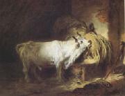 Jean Honore Fragonard, The White Bull (mk05)